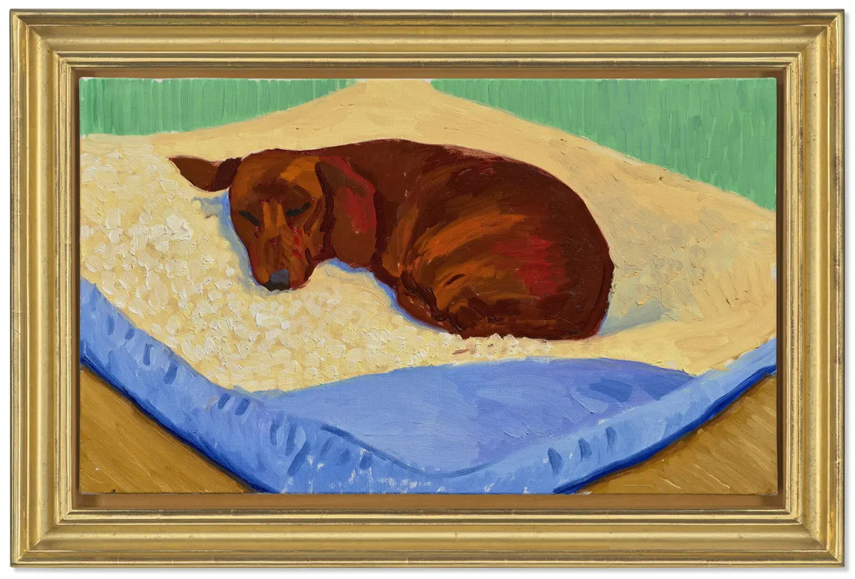 David Hockney, „Dog Painting 17“, 1995: taksas Stanley miega ant pagalvės