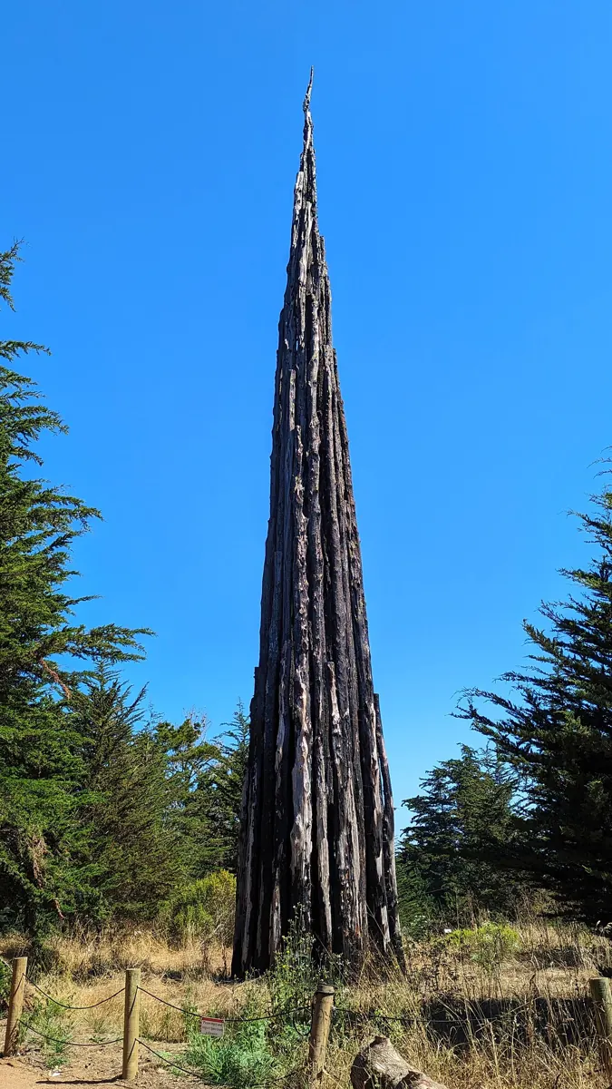 Andy Goldsworthy, skulptūra „Spire“, Presidio parkas, San Fransiskas