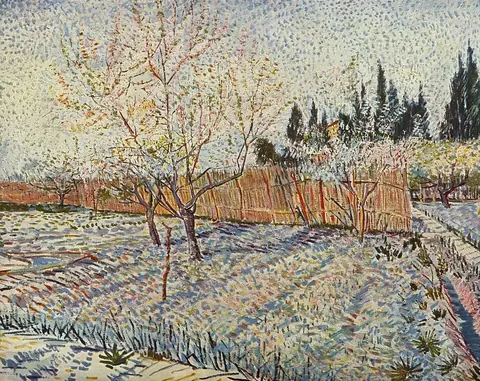 Vincentas van Goghas, sodas su kiparisais, 1888